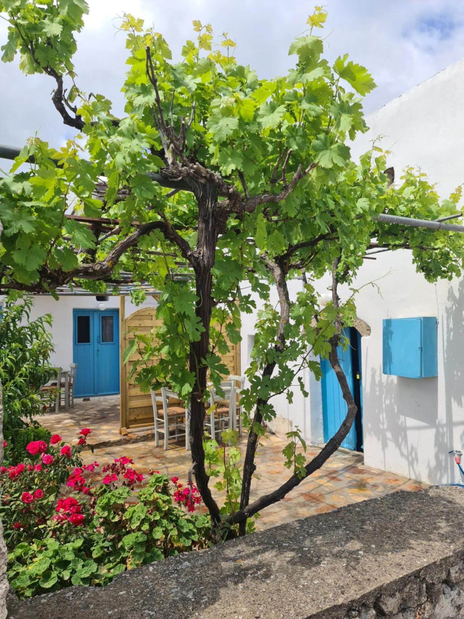 Kamaraki Aroniadika Apartment Kythira Town ภายนอก รูปภาพ
